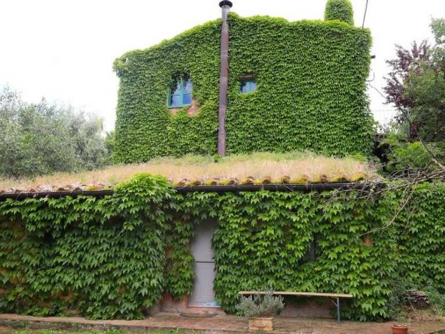 Rustico in vendita a Santa Luce, Foiano della Chiana