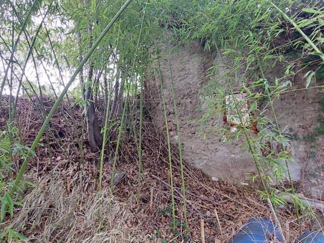 Rustico in vendita a Unione dei Comuni della Val Vibrata, Marche