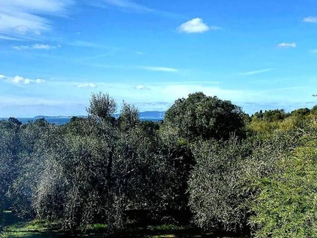 Rustico in vendita a Follonica, Toscana
