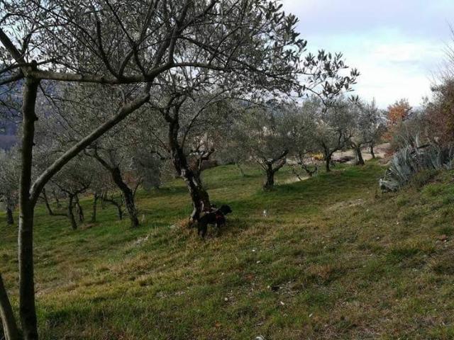 Rustico in vendita a Fontechiari, Lazio