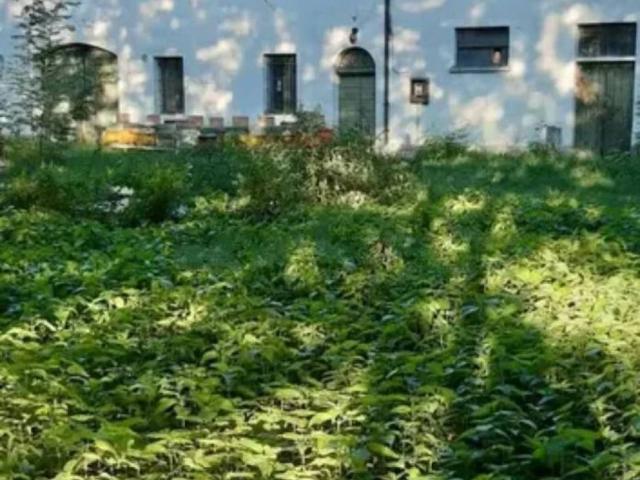 Rustico in vendita a Unione di Comuni della Romagna Forlivese, Quattro