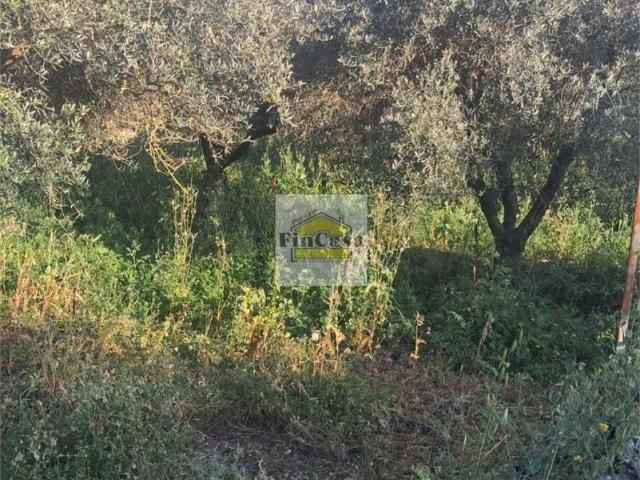 Rustico in vendita a Formia, Lazio
