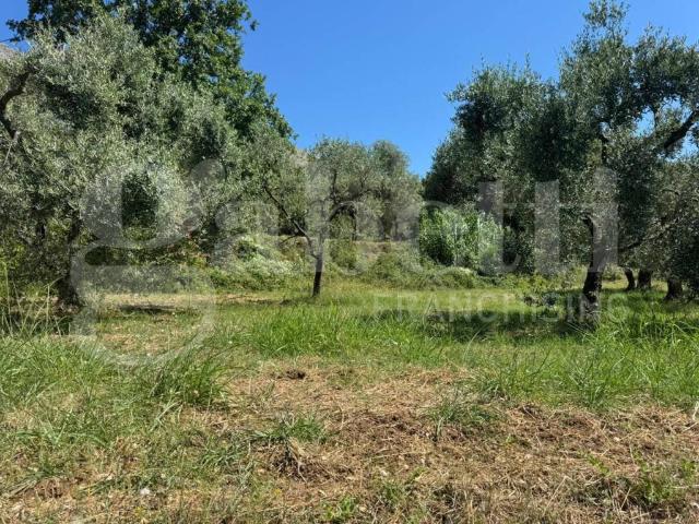 Rustico in vendita a Formia, Lazio