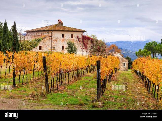 Rustico in vendita a Unione dei comuni del Distretto Ceramico, Formigine