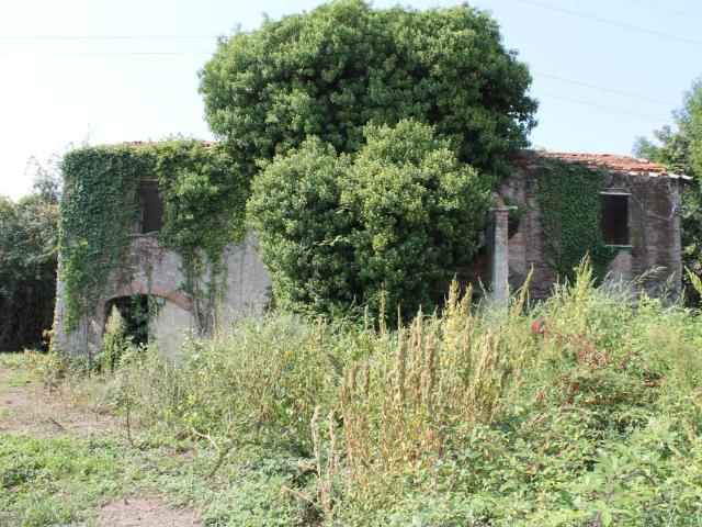 Rustico in vendita a Vittoria Apuana, Forte Dei Marmi
