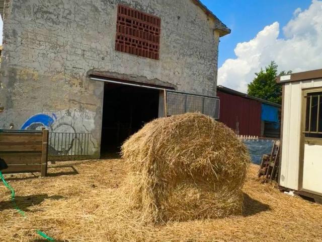 Rustico in vendita a Seravezza, Toscana