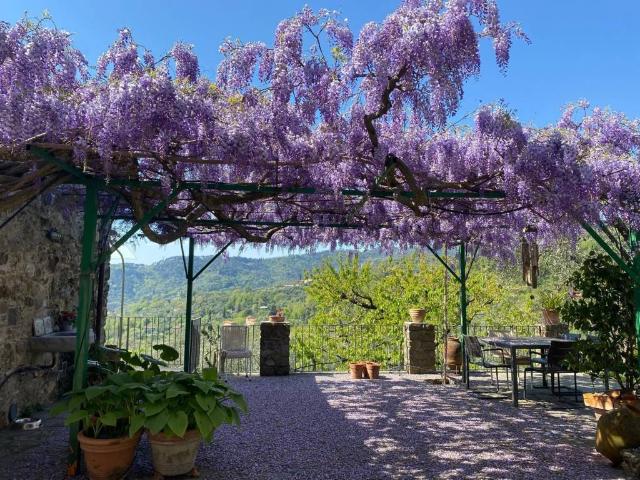Rustico in vendita a Colletto, Fosdinovo