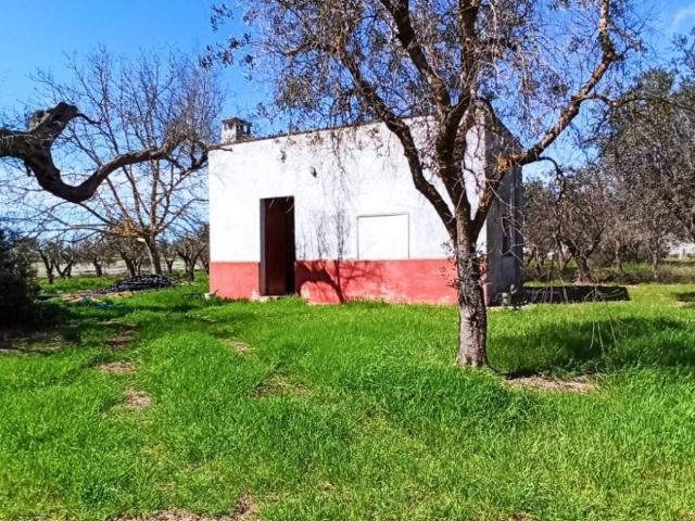 Rustico in vendita a Puglia, Brindisi