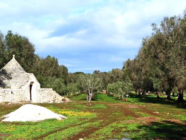 Rustico in vendita a Francavilla Fontana, Brindisi