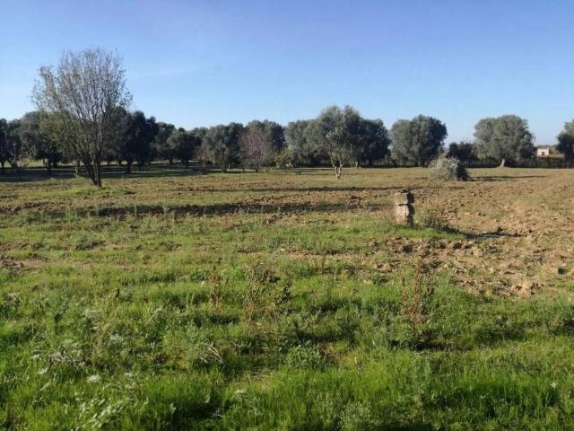 Rustico in vendita a Puglia, Brindisi