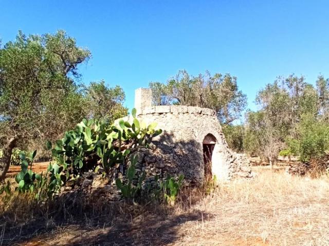 Rustico in vendita a Francavilla Fontana, Brindisi
