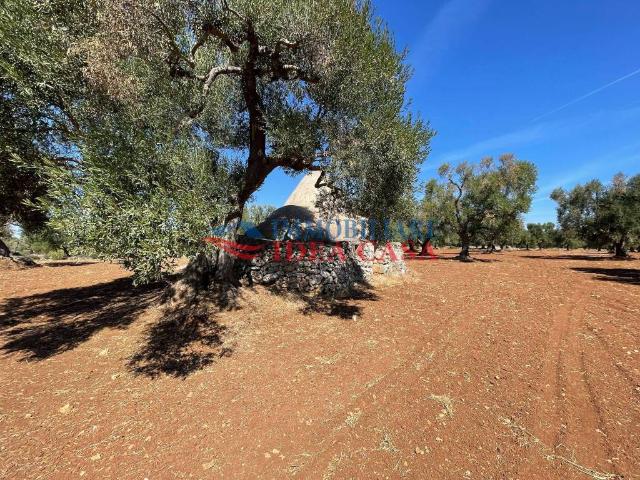 Rustico in vendita a Puglia, Brindisi
