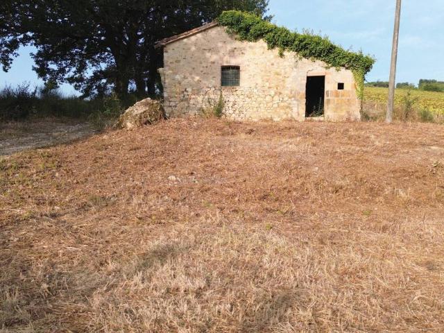 Rustico in vendita a Fratta Todina, Umbria
