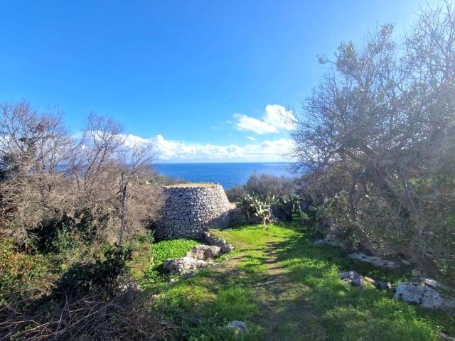 Rustico in vendita a Puglia, Lecce