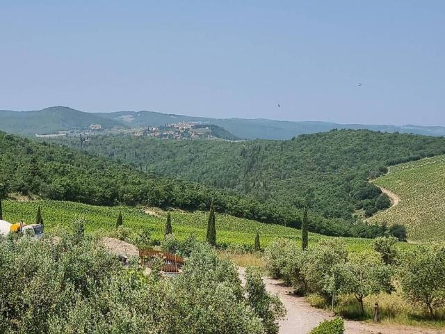 Rustico in vendita a Gaiole in Chianti, Siena