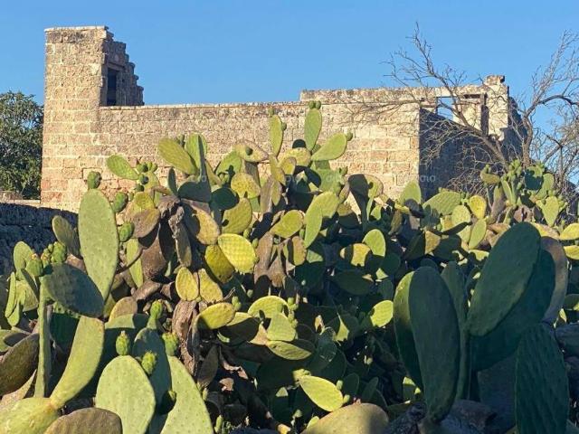 Rustico in vendita a Puglia, Lecce