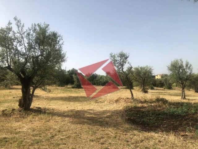 Rustico in vendita a Roma Capitale, Lazio