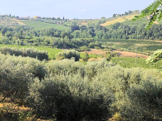 Rustico in vendita a Unione dei Comuni Circondario dell'Empolese Valdelsa, Gambassi Terme