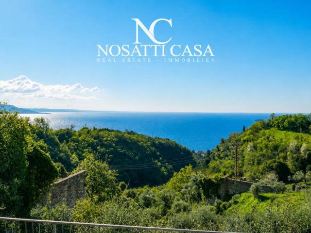 Rustico in vendita a Comunità Montana Parco Alto Garda bresciano, Gardone Riviera