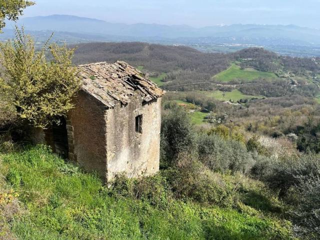 Rustico in vendita a Roma Capitale, Lazio