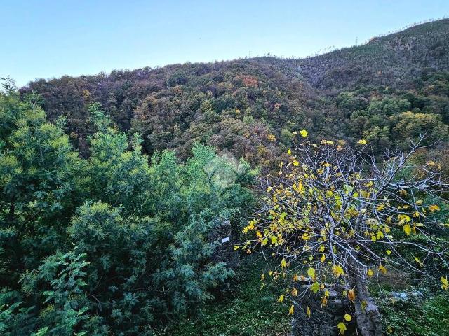 Rustico in vendita a Ponente, Serra Riccò