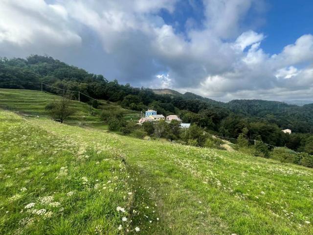 Rustico in vendita a Ponente, Serra Riccò