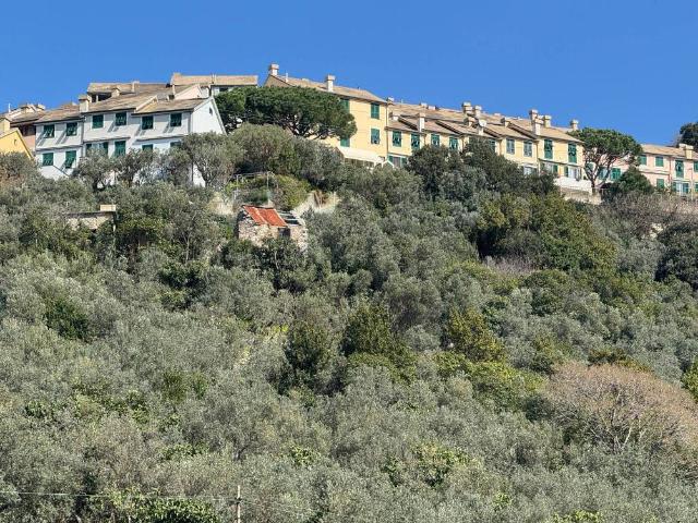 Rustico in vendita a Levante, Serra Riccò