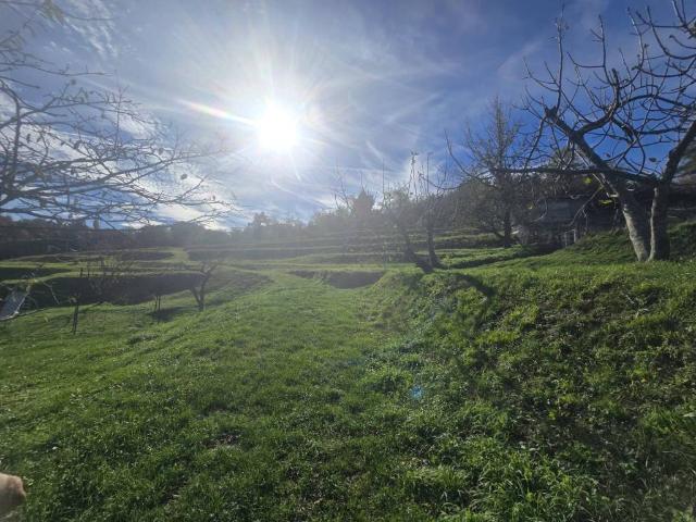 Rustico in vendita a Ponente, Serra Riccò