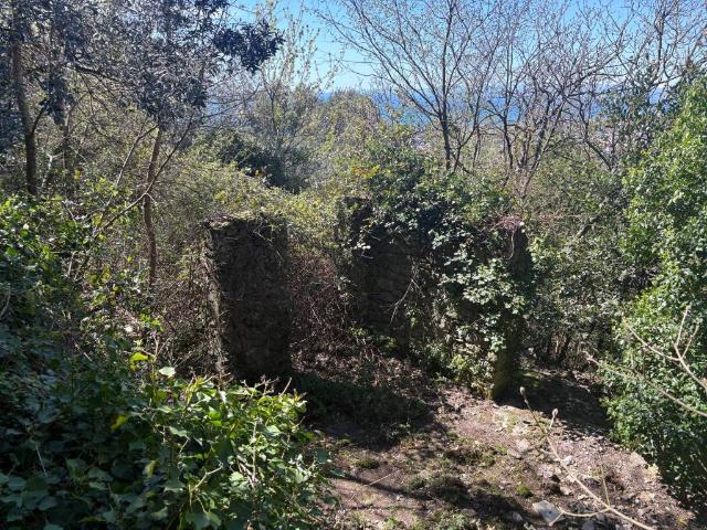 Rustico in vendita a Levante, Serra Riccò