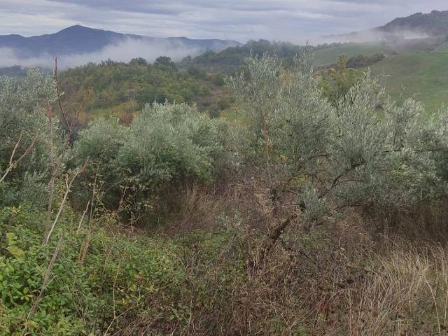 Rustico in vendita a Torricella Peligna, Abruzzo