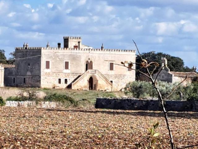 Rustico in vendita a Puglia, Bari