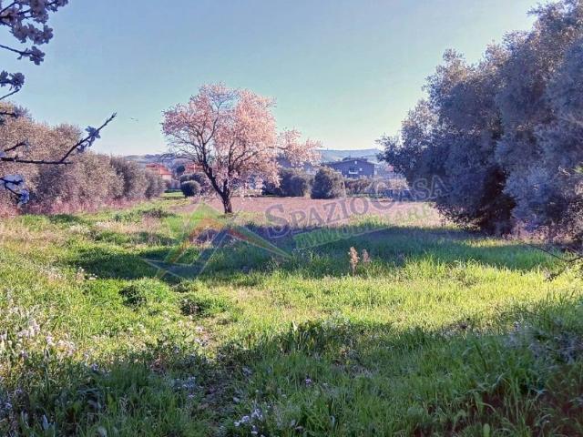 Rustico in vendita a Giulianova, Abruzzo