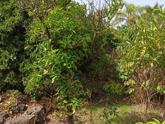 Rustico in vendita a Gravina Di Catania, Sicilia