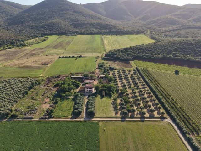 Rustico in vendita a Monte Argentario, Toscana