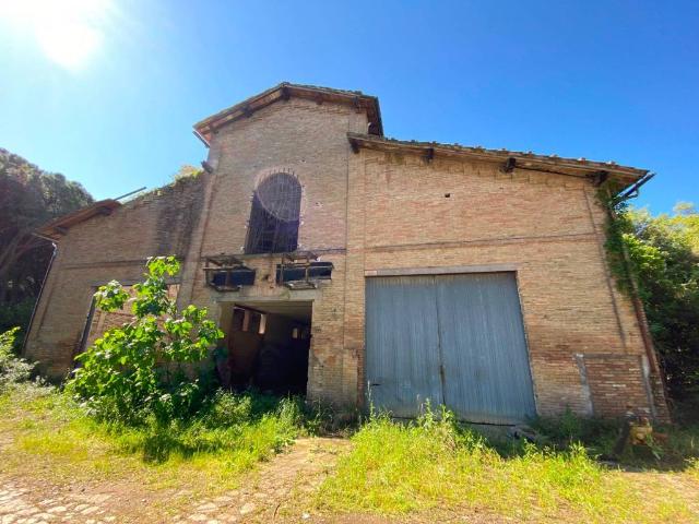 Rustico in vendita a Monte Argentario, Toscana