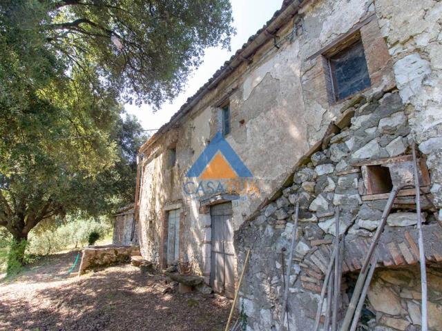 Rustico in vendita a Guardea, Umbria