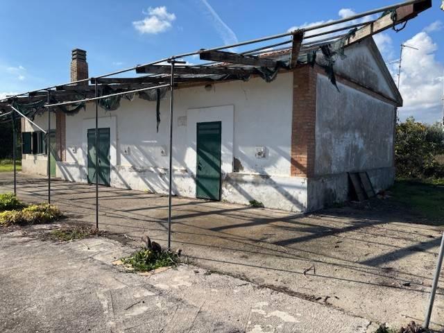Rustico in vendita a Guglionesi, Molise