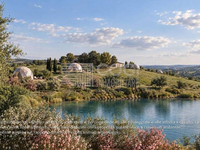 Rustico in vendita a Ponticelli, Imola