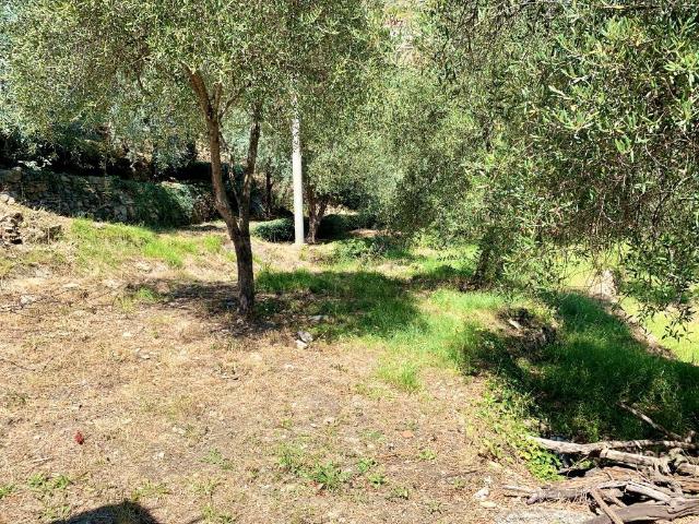 Rustico in vendita a Imperia, Liguria
