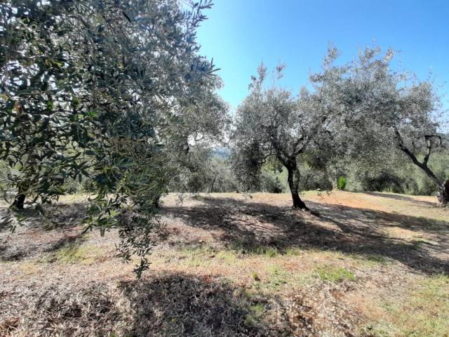 Rustico in vendita a Itri, Lazio