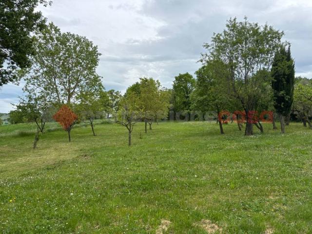 Rustico in vendita a Jelsi, Molise