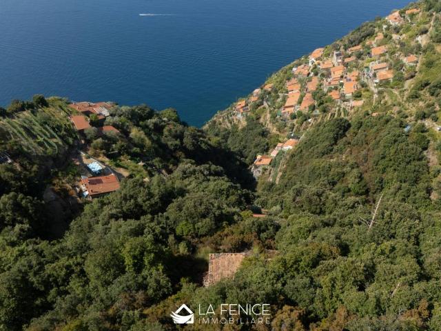 Rustico in vendita a Campiglia, La Spezia