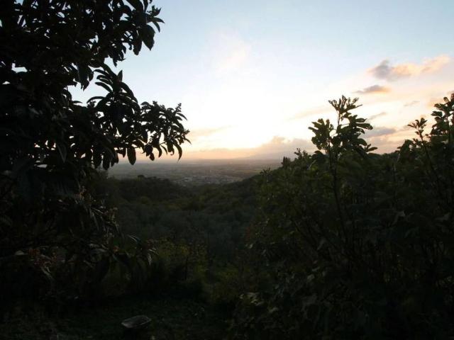 Rustico in vendita a Lamporecchio, Toscana