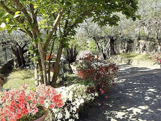Rustico in vendita a Lamporecchio, Toscana