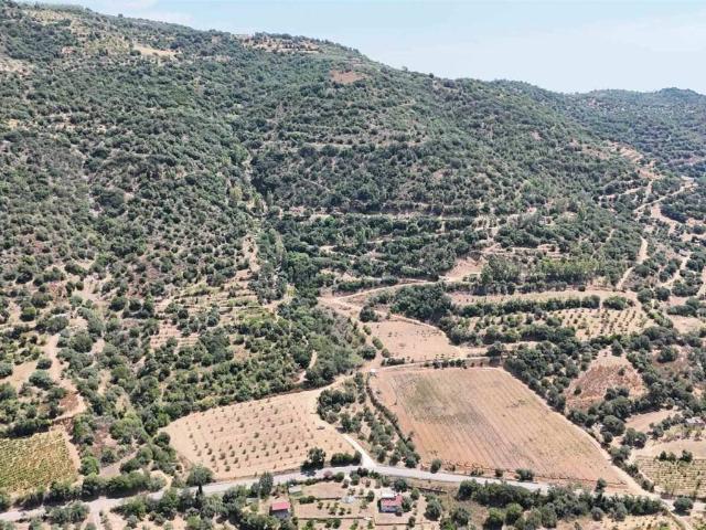 Rustico in vendita a Gairo, Sardigna/Sardegna