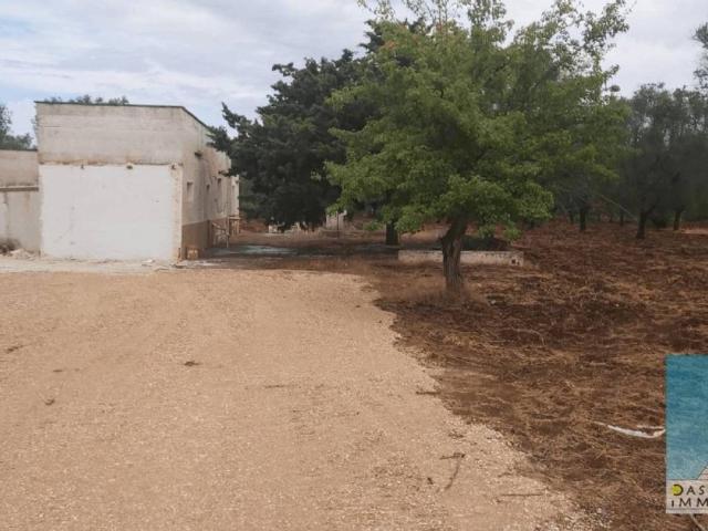 Rustico in vendita a Puglia, Brindisi