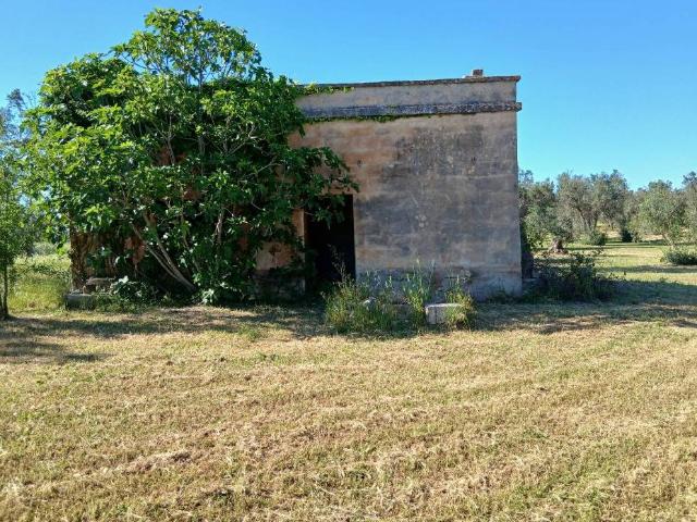 Rustico in vendita a Puglia, Brindisi