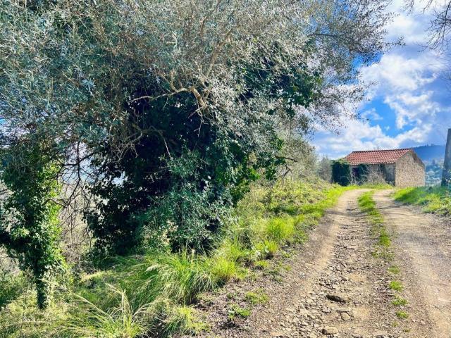 Rustico in vendita a Laureana Cilento, Campania