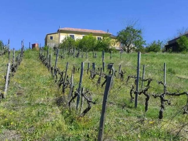 Rustico in vendita a Lauria Superiore, Basilicata