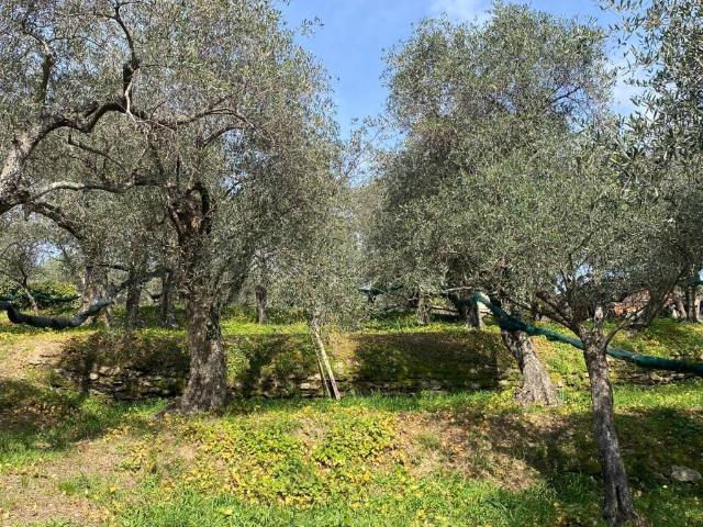 Rustico in vendita a Lavagna, Liguria